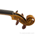 Jujube Parts Laciness Violon